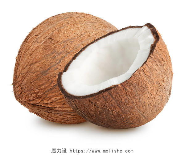 白色背景上的椰子